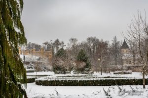 park dzikowski zimą